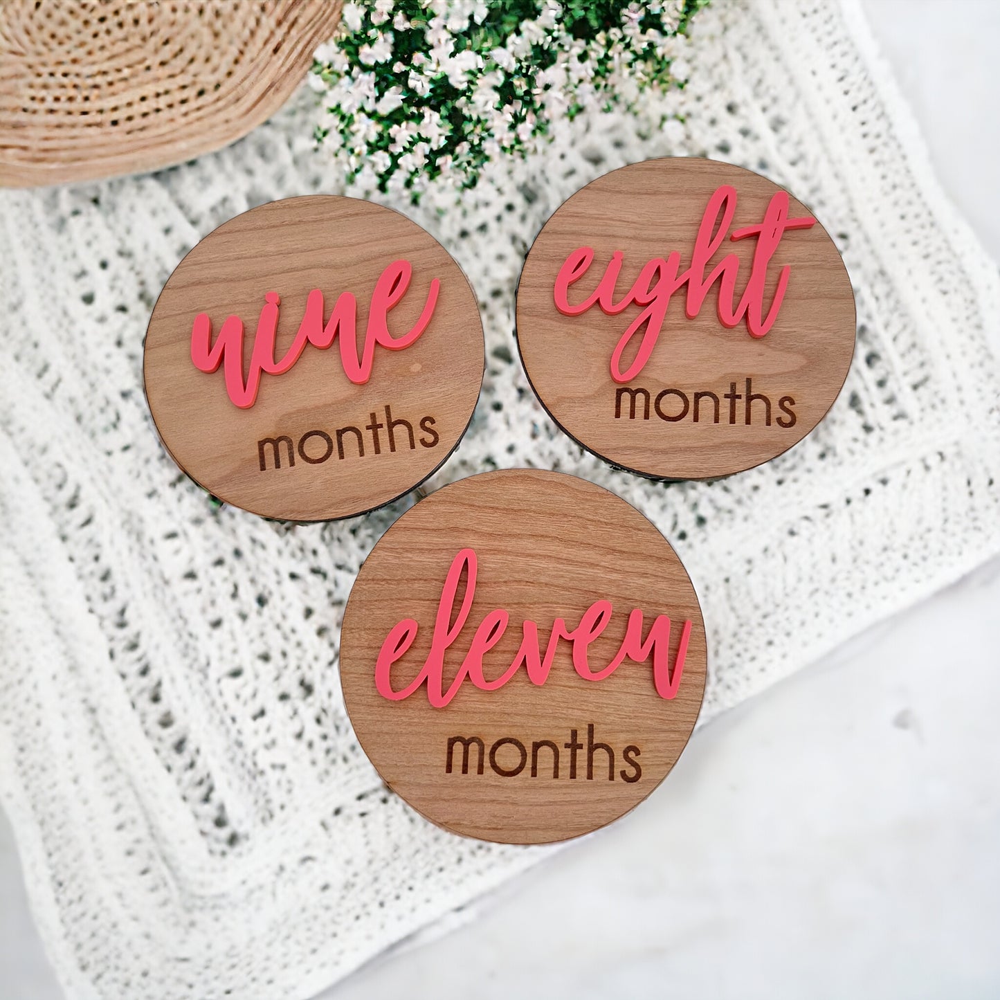 13 Baby Milestone Disc Set
