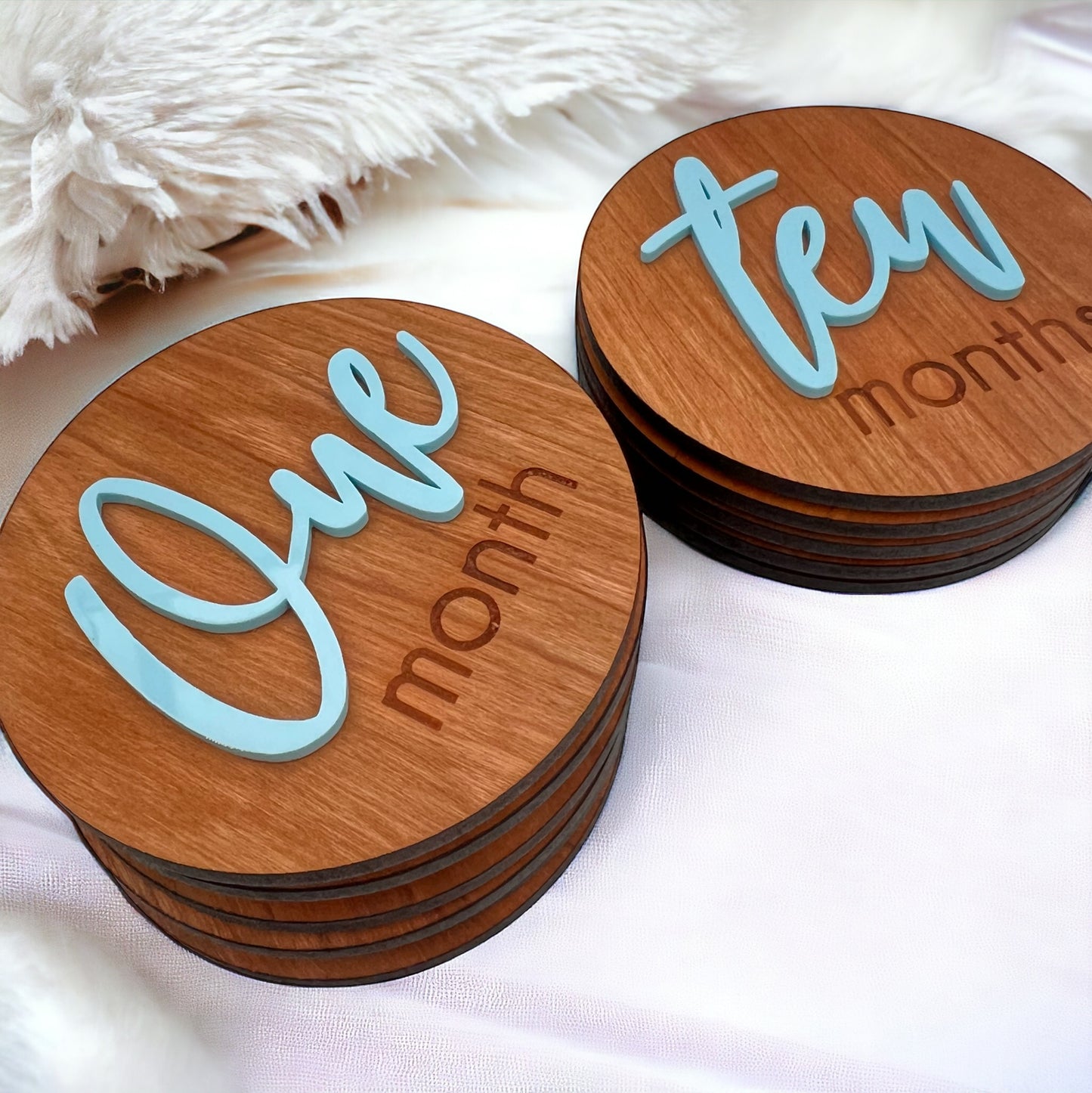 13 Baby Milestone Disc Set