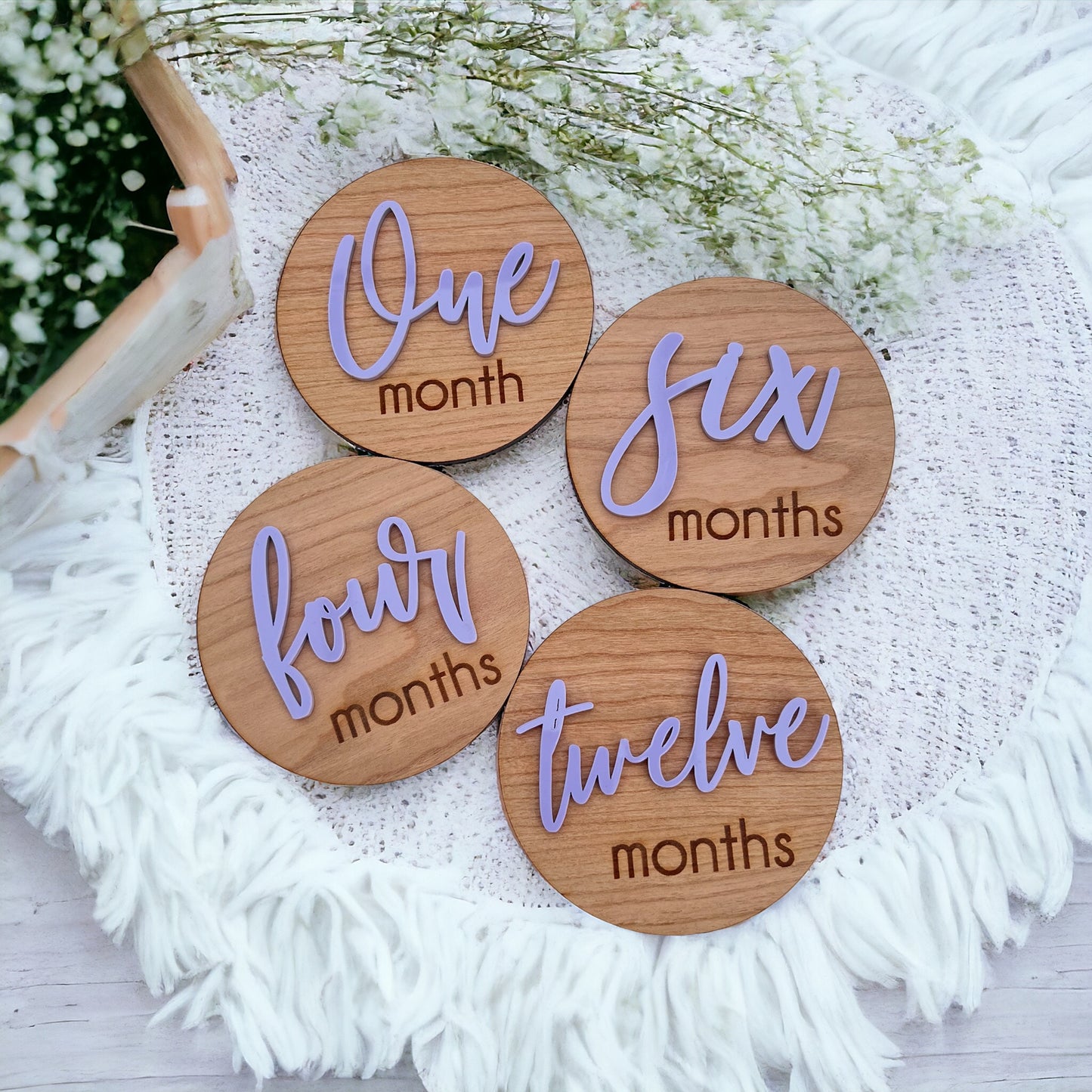 13 Baby Milestone Disc Set