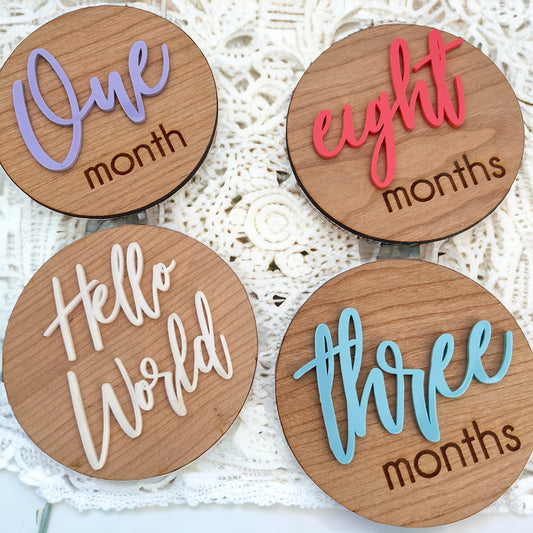 13 Baby Milestone Disc Set